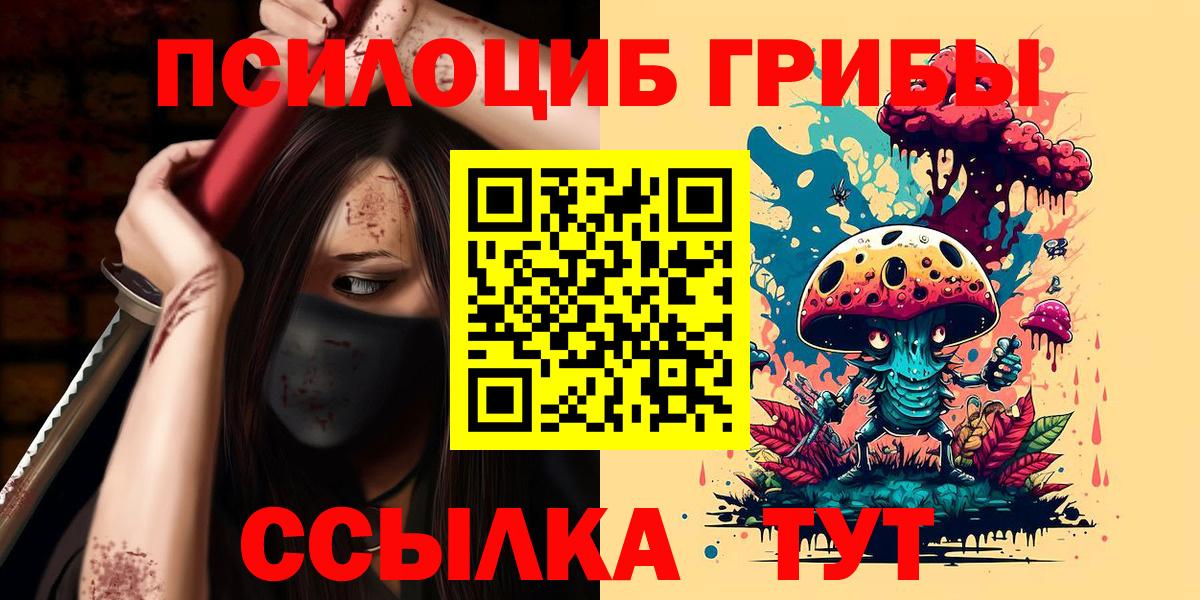 Галлюциногенные грибы Psilocybe Лесосибирск