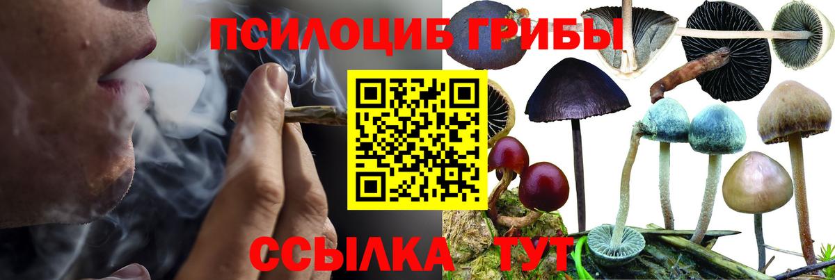 Псилоцибиновые грибы GOLDEN TEACHER  где купить   Лесосибирск  Вход с VPN 